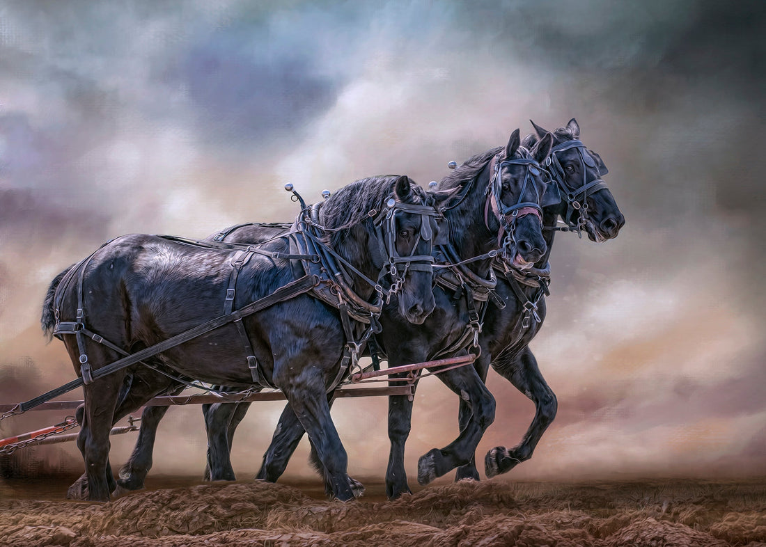 Choosing the Right Textures for an Image: My Artistic Process