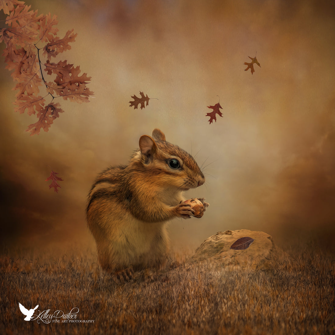 Seasonal Inspiration: Wildlife in Fall