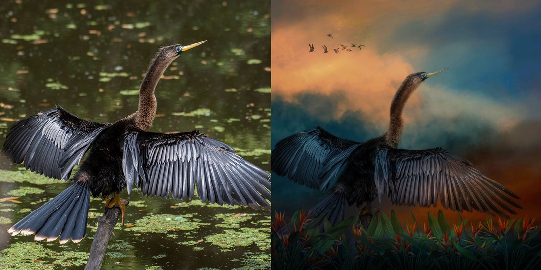 Is It a Painting or a Photograph? The Answer Is: Both.