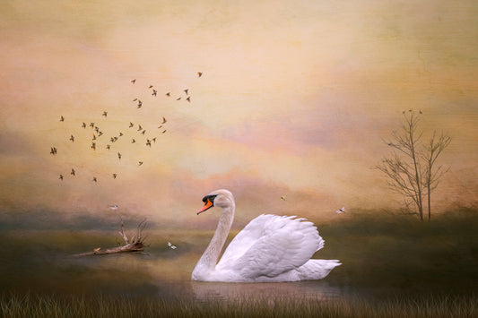 Elevating Imagery: Combining Digital Art with Photography for a Captivating Visual Impact