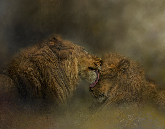 Brotherly Love