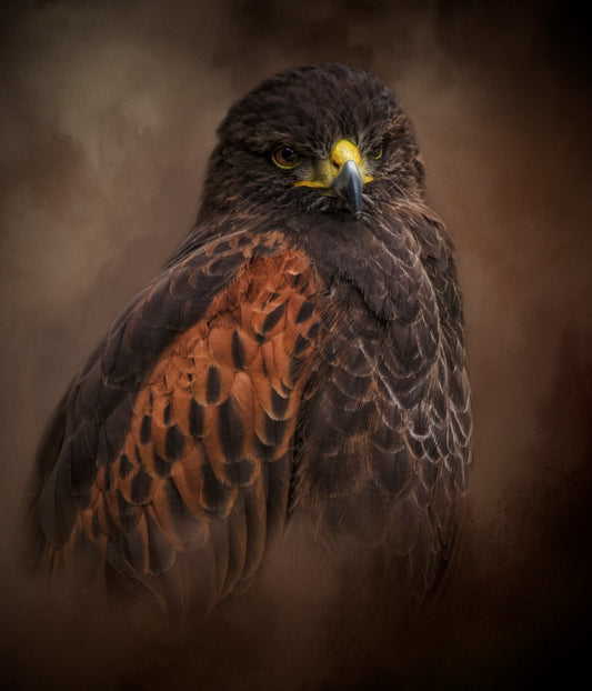 Determined