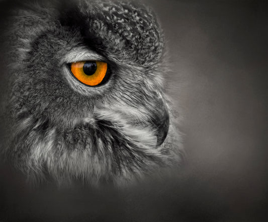 Golden Eye