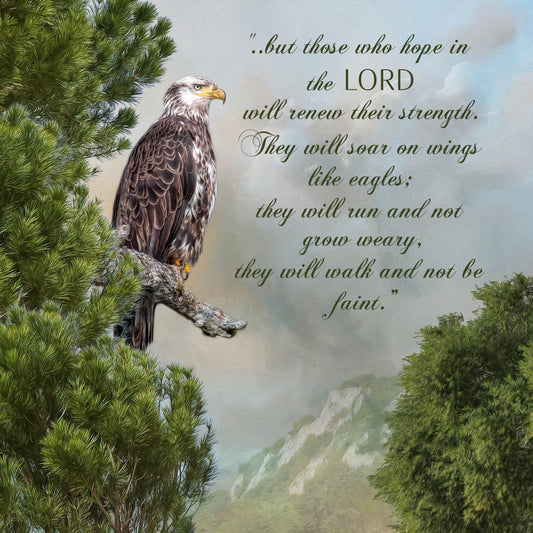 Hope