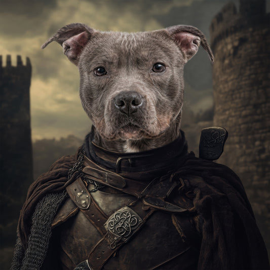 Canine Crusade