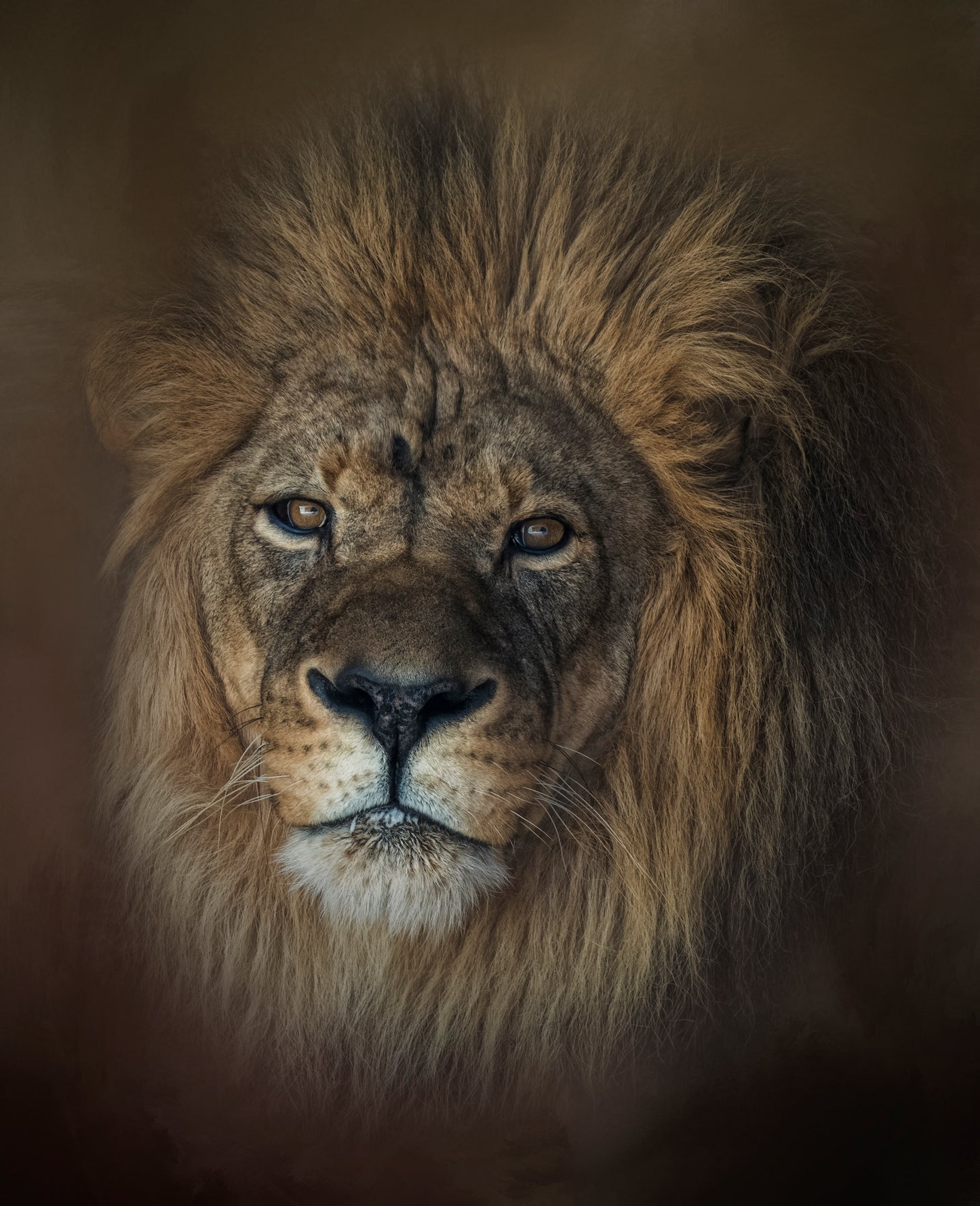 King's Gaze