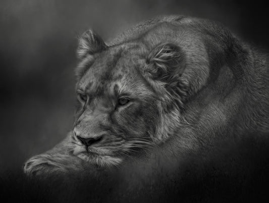 Long Day