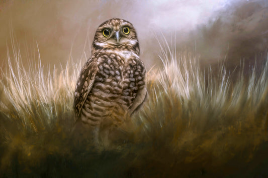Owl be Seeing You