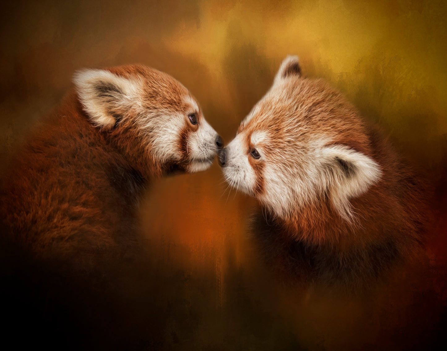The Kiss